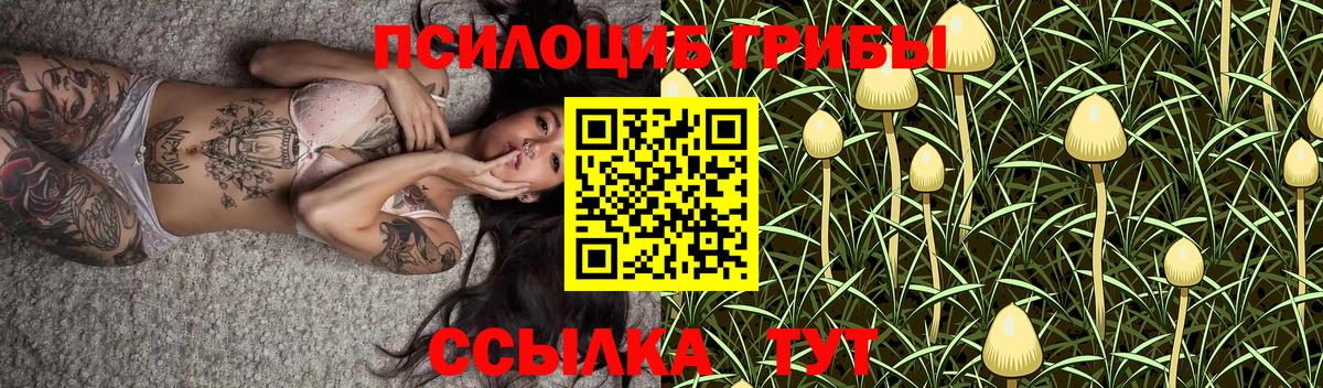 Галлюциногенные грибы прущие грибы  где купить   Наро-Фоминск  Вход с VPN 